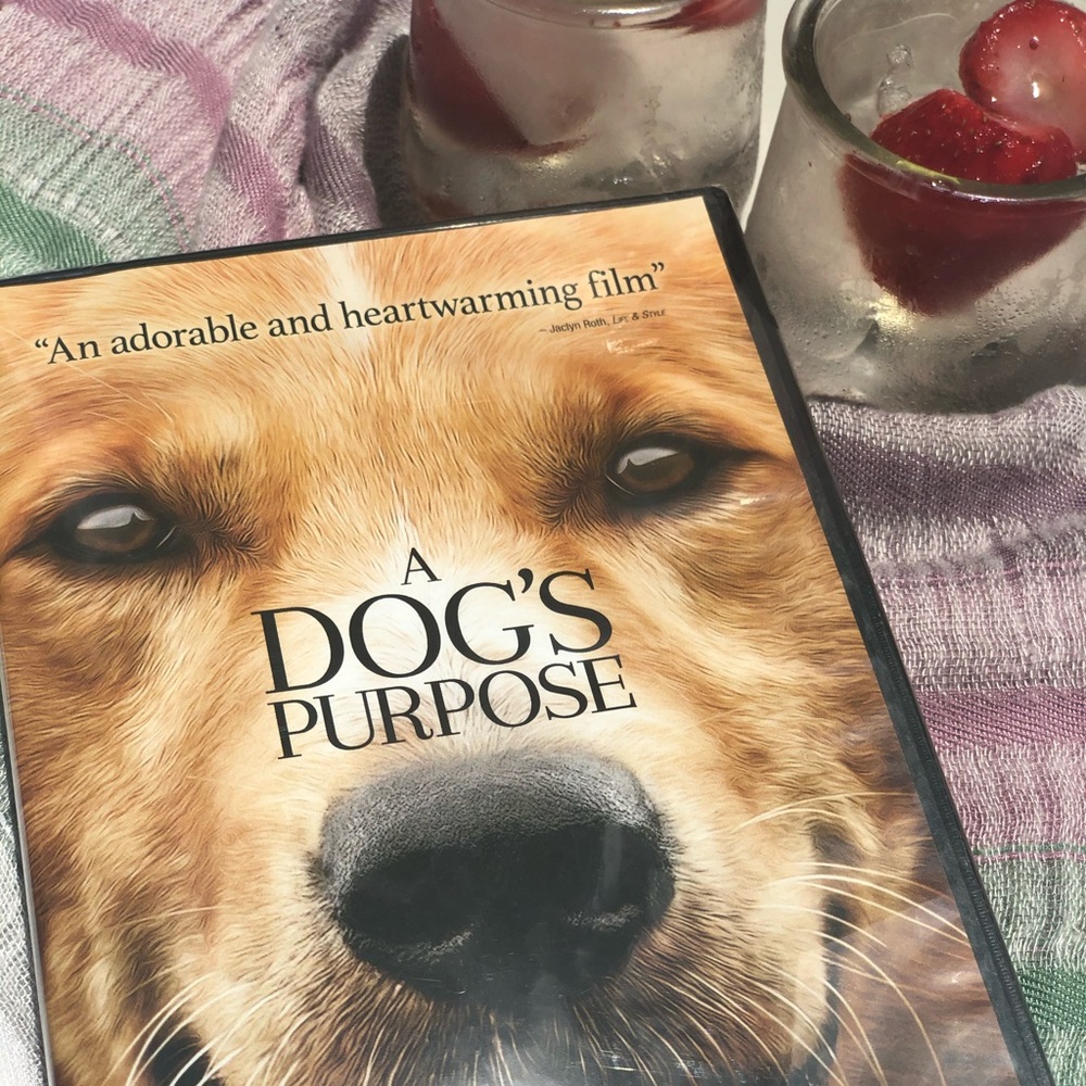 A Dog’s Purpose Movie (DVD) 📽🎞🐶🐾